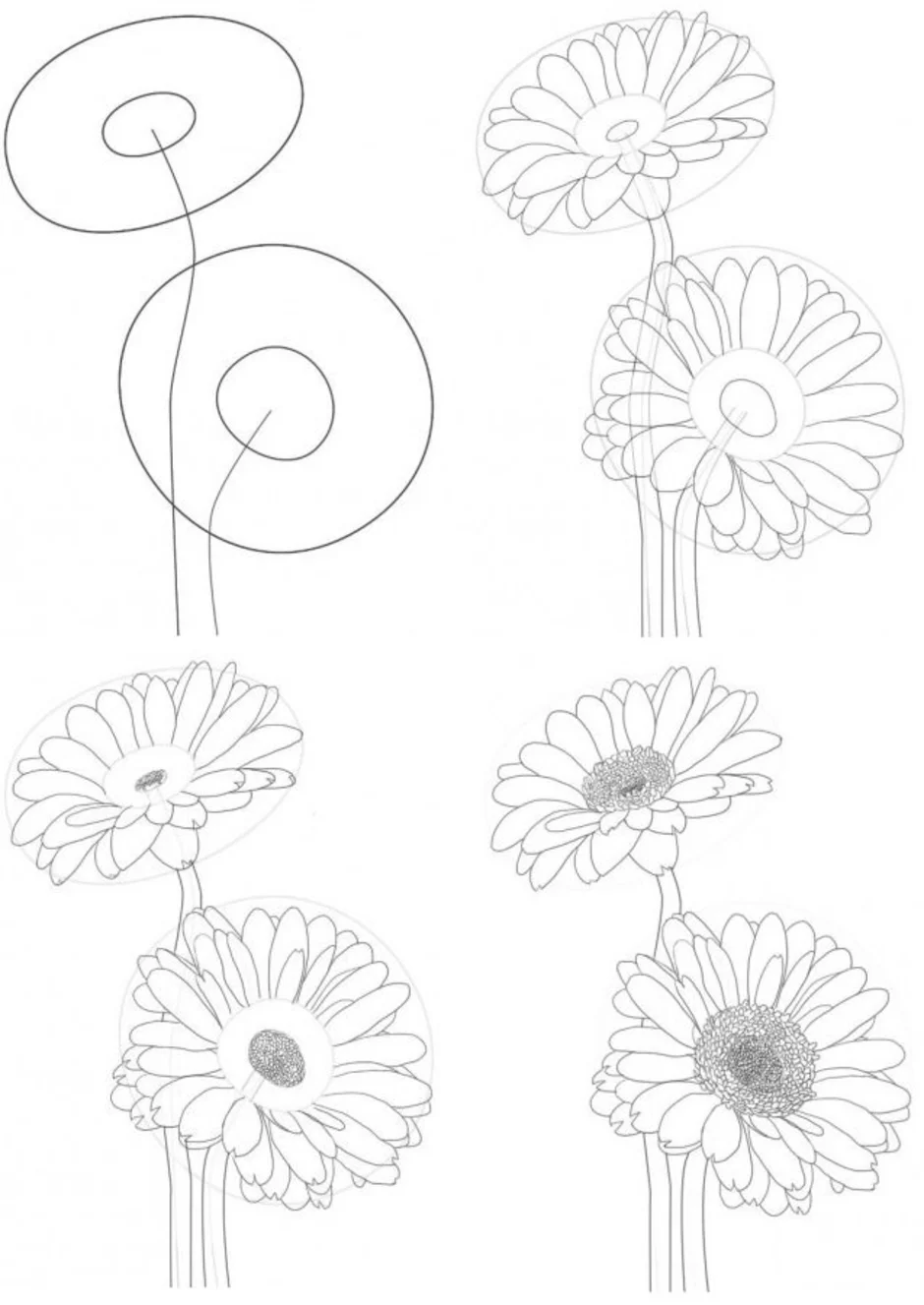 Букеты рисовать поэтапно. Поэтапное рисование цветка. Простые цветы для рисования. Рисование цветов карандашом для начинающих. Цветы карандашом поэтапно.