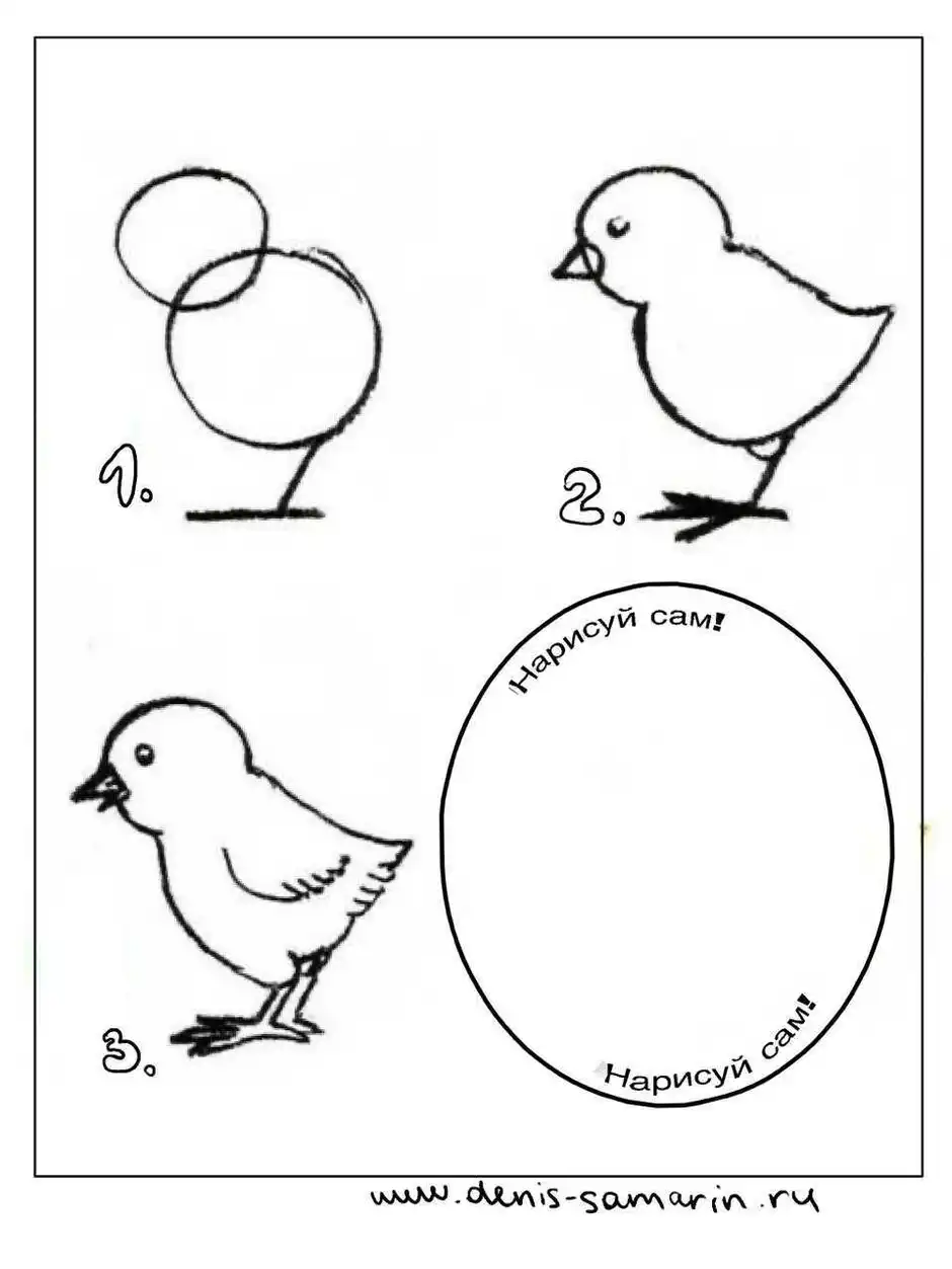 Как нарисовать цыпленка легко и просто для детей