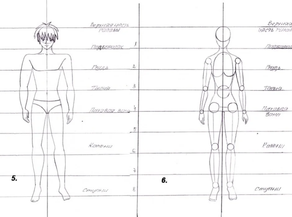 Как нарисовать человека по схеме