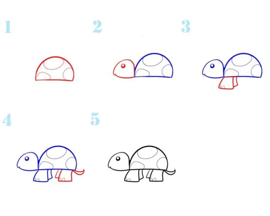 Как нарисовать квадробику. Пошаговое рисование для детей. Нарисовать черепаху пошагово. Черепаха поэтапное рисование для детей. Этапы рисования черепахи.