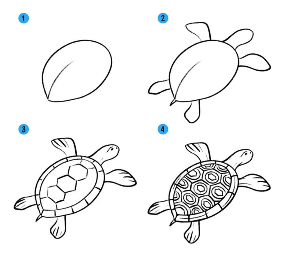 Как нарисовать черепаху 1 класс