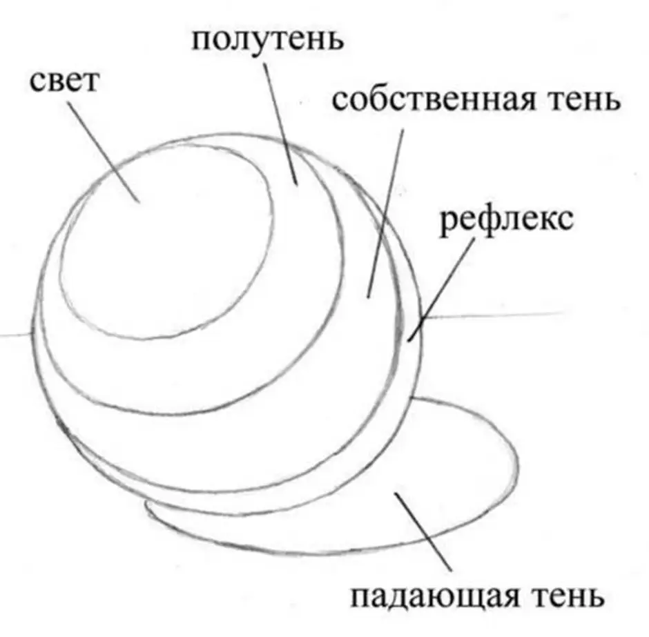 Свет тень на шаре