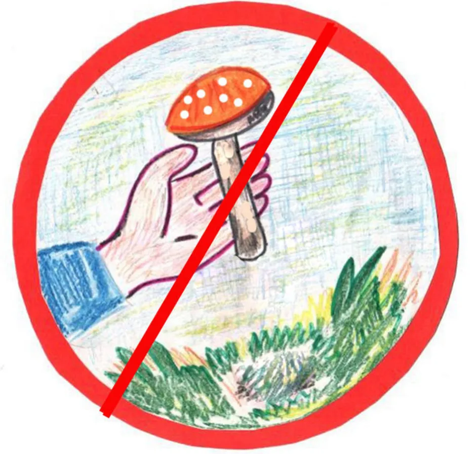 Знак нельзя собирать грибы. Экологические знаки. Природоохранные знаки. Природоохранные знаки для детей. Экологические знакики.