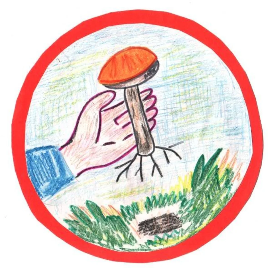 Знак нельзя собирать грибы. Знак не вырывай грибы с грибницей. Экологические знаки. Экологические знакики. Природоохранные знаки.