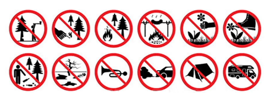 Какие знаки можно увидеть в лесу. Запрещающие знаки в лесу. Запрещающие знаки в Леву. Знаем запрещающие в лесу. Знаки поведения в природе.