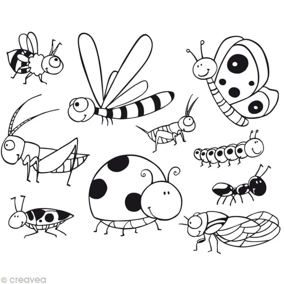 Распечатать раскраску насекомые. Насекомые раскраска для детей. Раскраска насекомые для малышей. Насекомые для дошкольников. Насекомые картинки раскраски.