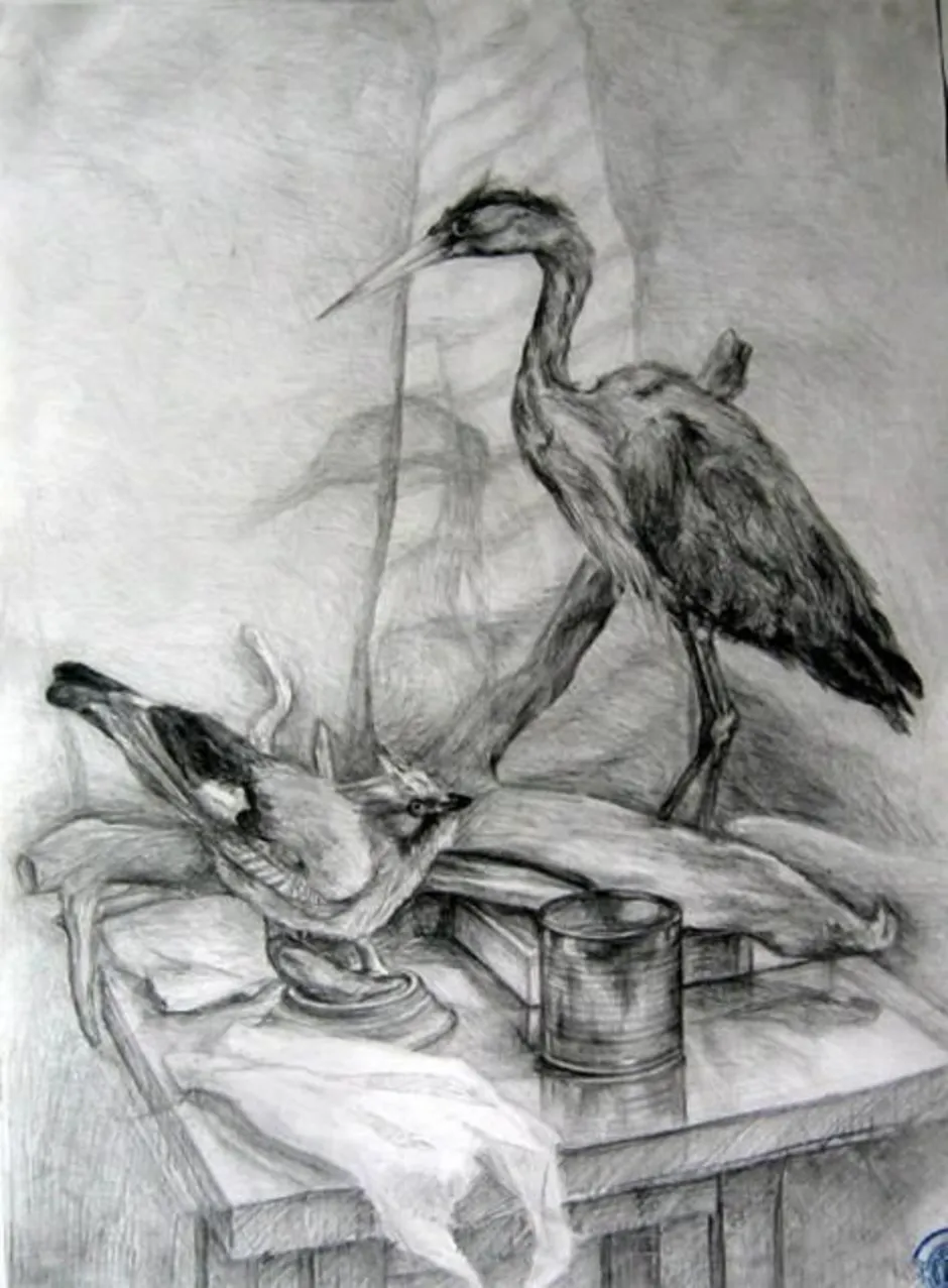 Натюрморт с птицей карандашом