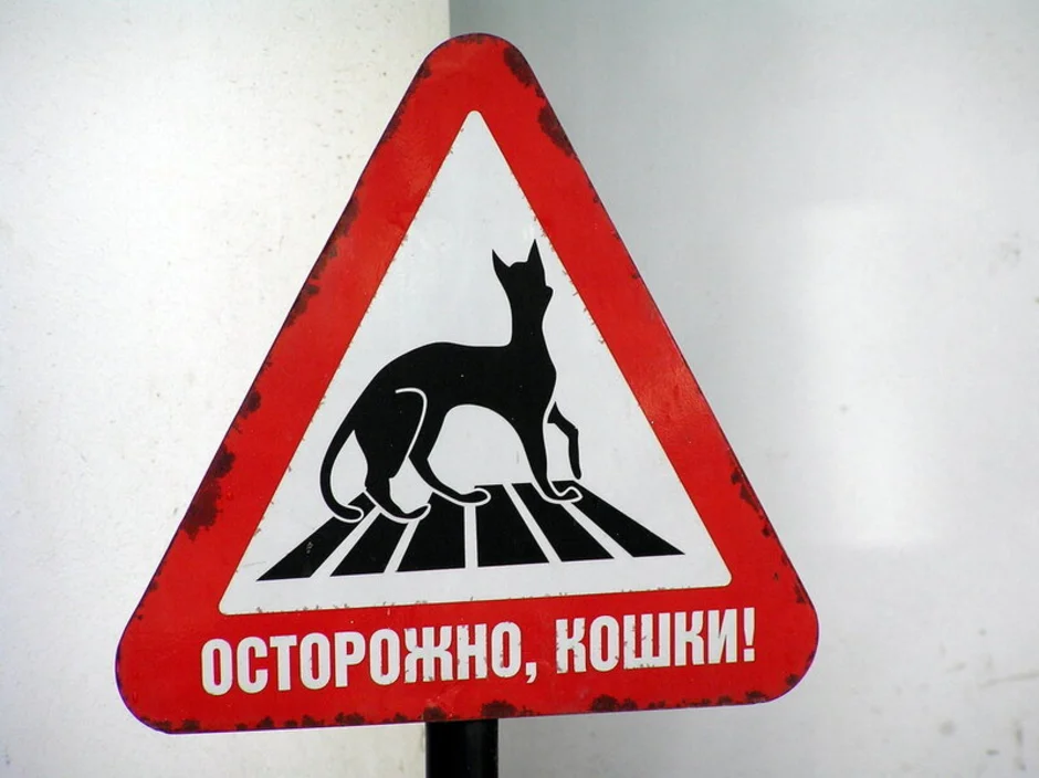 Прикольные знаки картинки. Смешные знаки. Смешные дорожные знаки. Дорожный знак осторожно кошки. Необычные знаки дорожного движения.