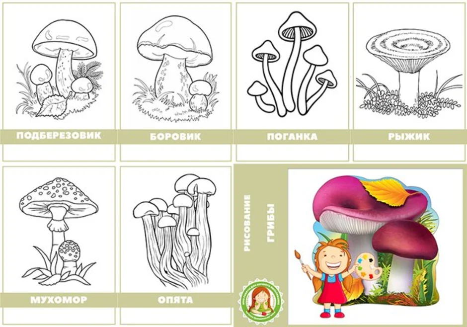 Рисунок грибов 6 класс