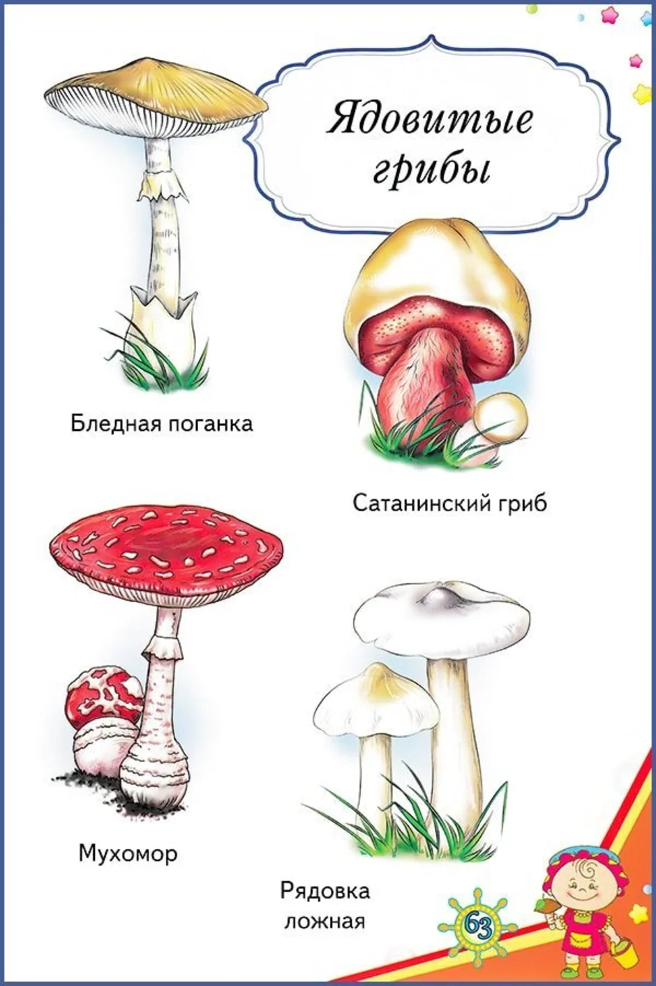 Ядовитые грибы рисунок карандашом