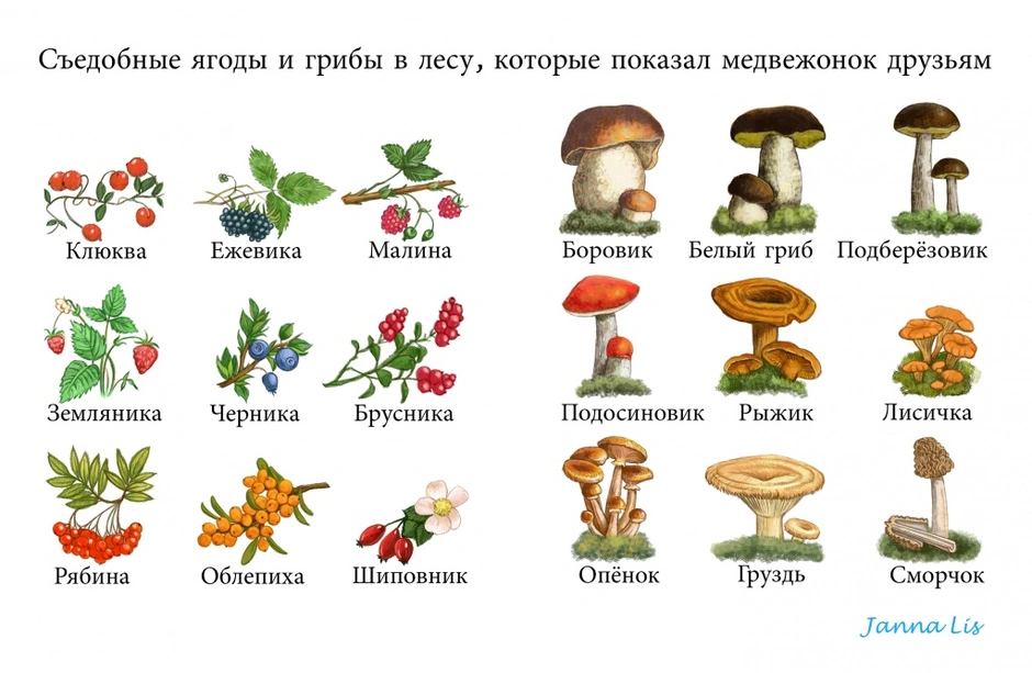 Съедобные и ядовитые грибы для дошкольников презентация