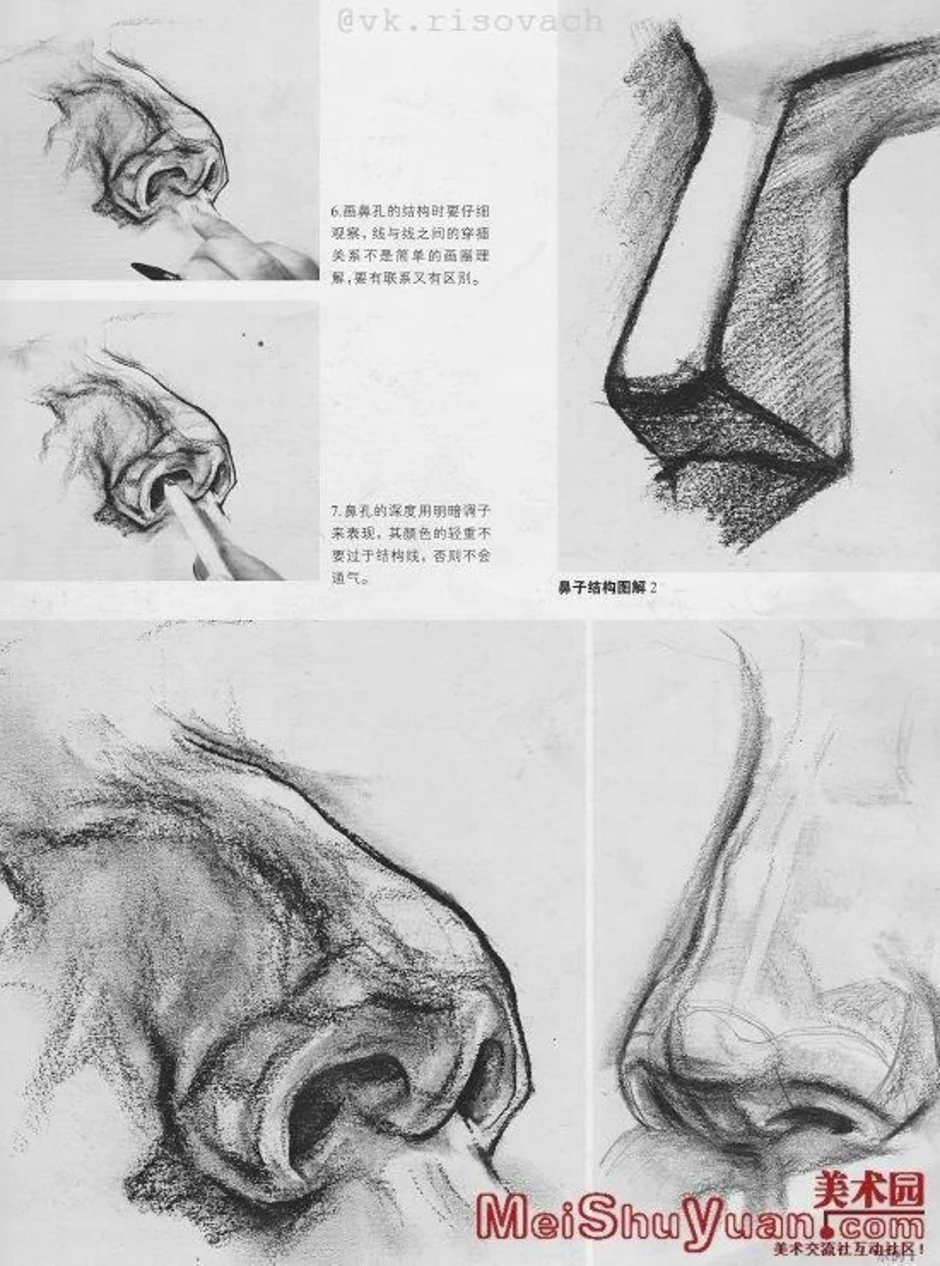 Рисунок карандашом строение носа