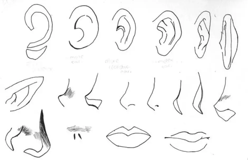 Нос как рисовать в аниме стиле