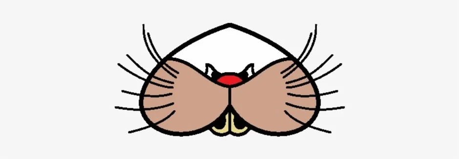 Кошка нос и рот. Кошачий нос. Кошачьи усы для поделок. Усики и носик. Нос и усы кошки.