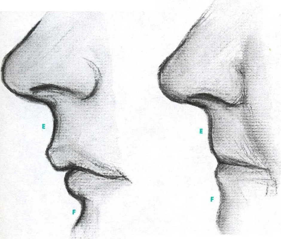 Как рисовать нос сбоку