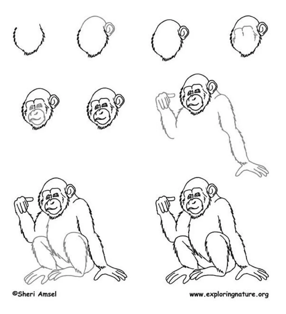 Как легко нарисовать обезьянок