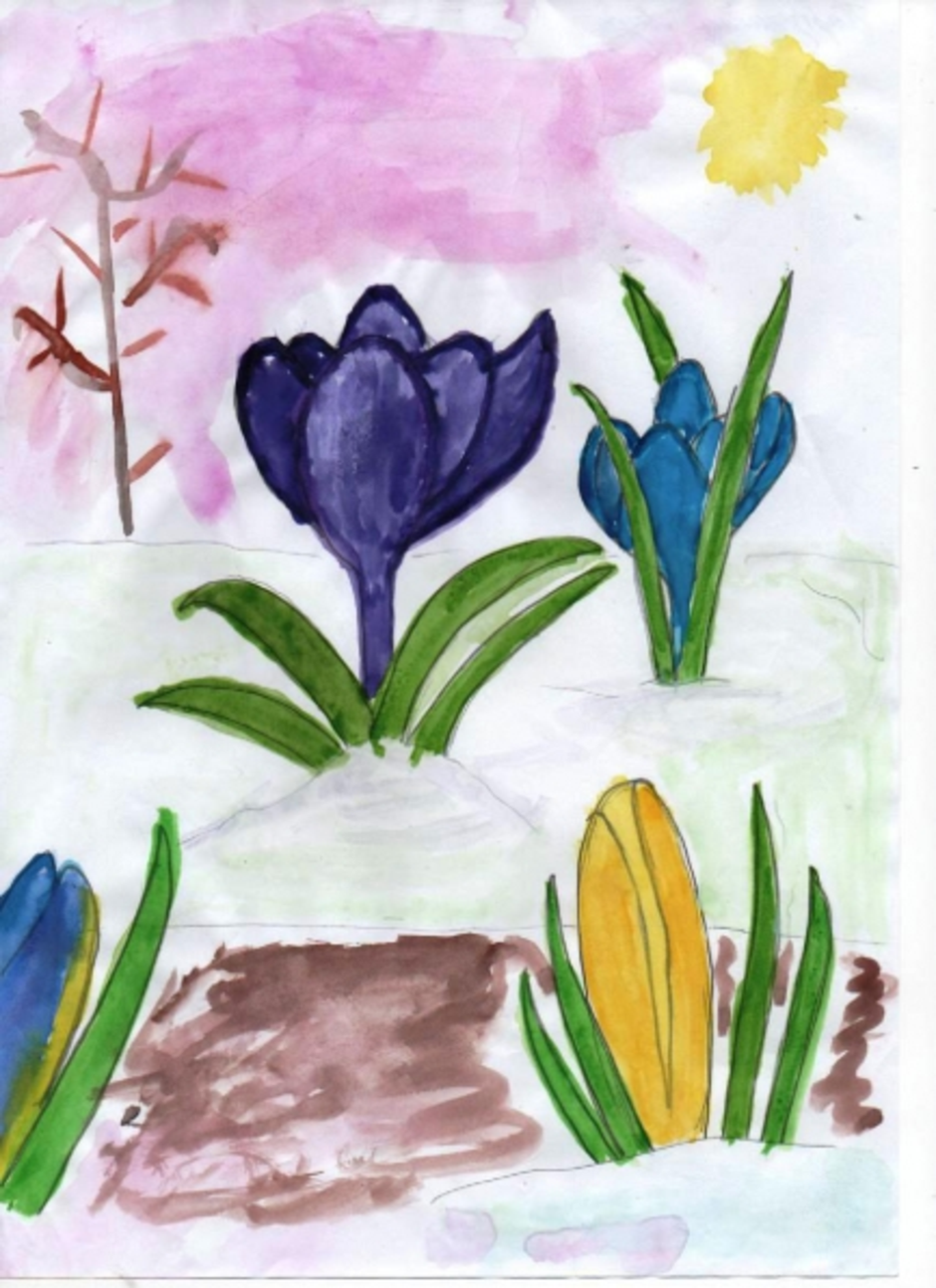 Рисование первоцветы старшая группа. Рисование весенние цветы. Рисование первоцветы в детском саду.