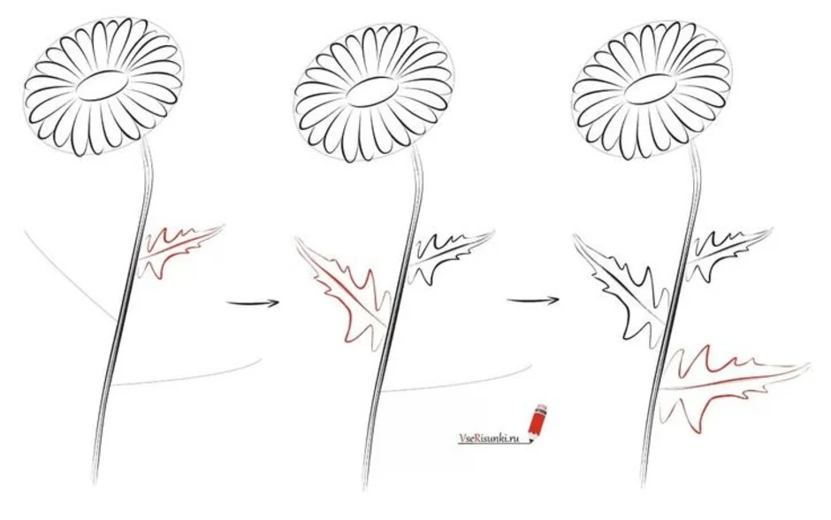 Нарисовать лист одуванчика поэтапно