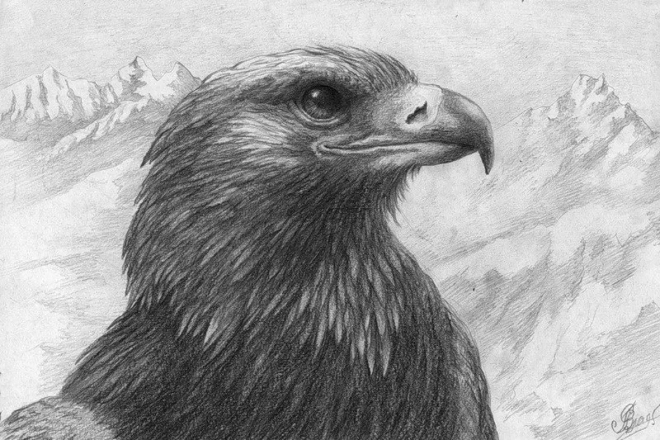 Рисунок орла