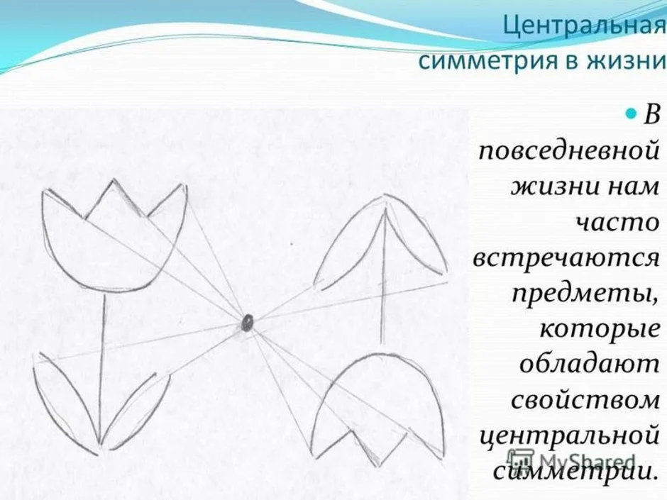 Рисунок с использованием центральной симметрии