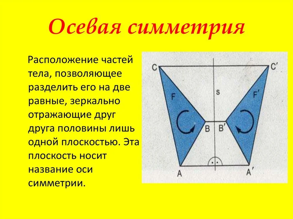 Презентация осевая и центральная симметрия 9 класс