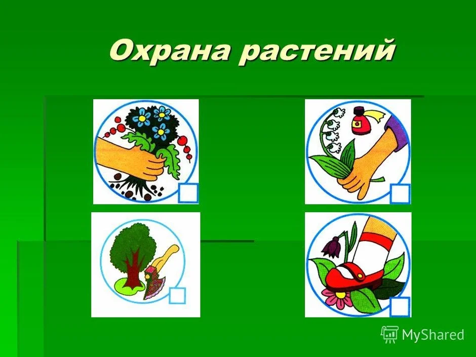 Окружающий мир 3 охрана растений. Охрана растений. Проект охрана растений. Охрана растений задания. Окружающий мир охрана растений.