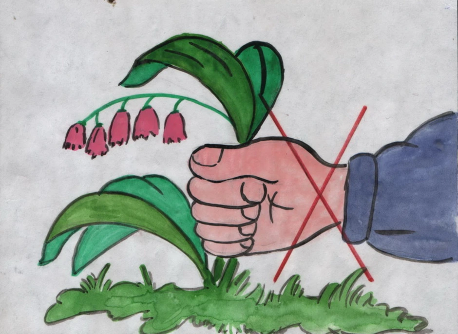 Легко и бережно. Плакат берегите растения. Рисунок берегите растения. Рисунок на тему береги растения. Плакат берегите растения 3 класс.