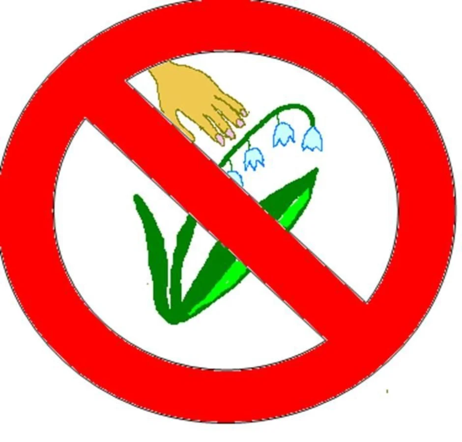 Знак берегите детей. Экологические знаки. Экологические знаки природы. Запрещающие экологические знаки. Запрещающие знаки в природе.