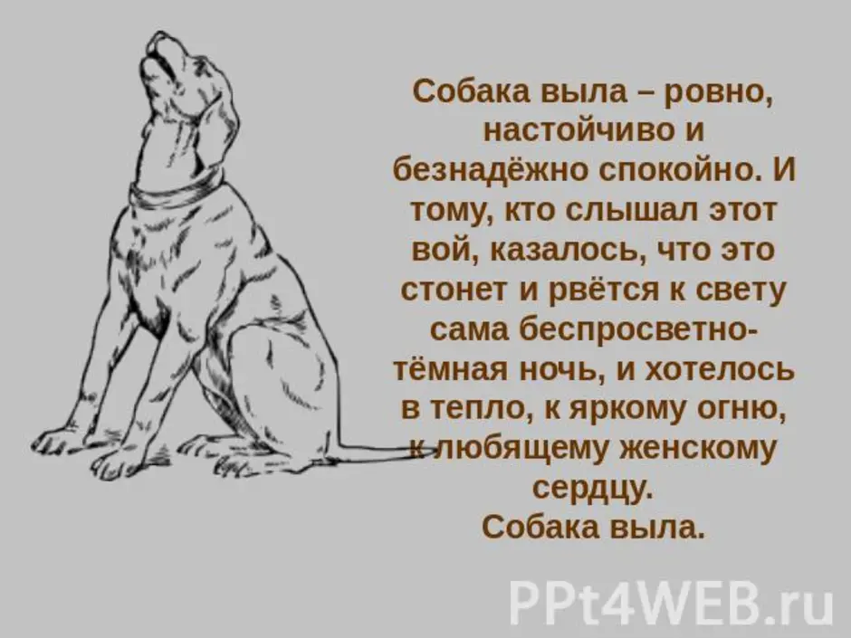 Эскиз памятника кусаке приложив письменное обоснование необходимости создания такого памятника