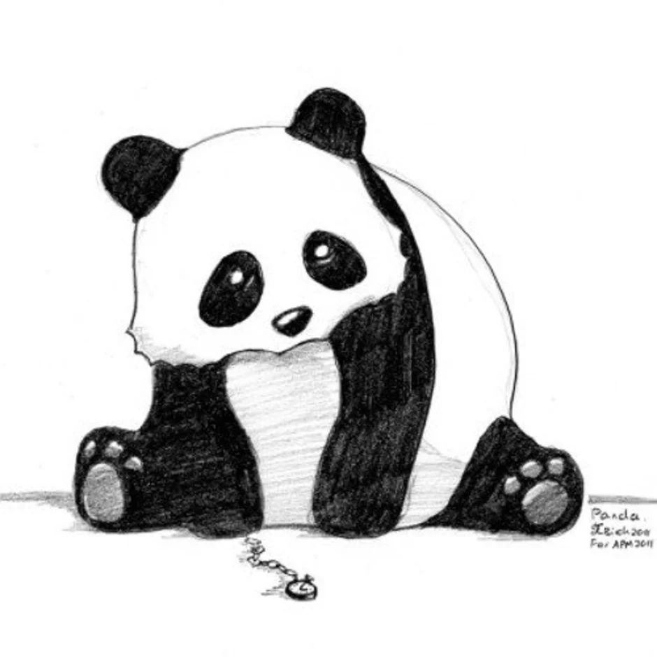 Панда фото рисунок легкий