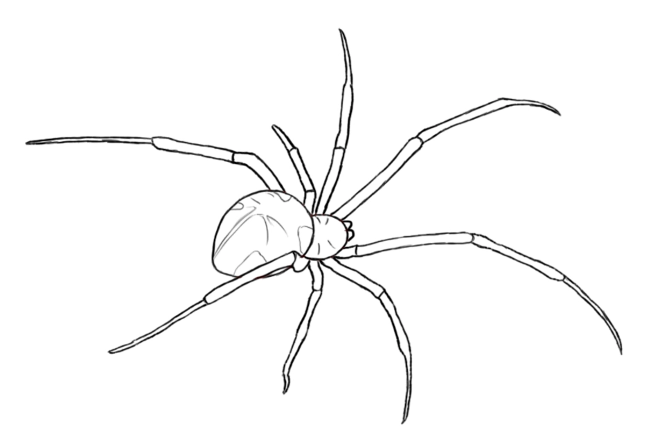Рисунок паука для детей простой