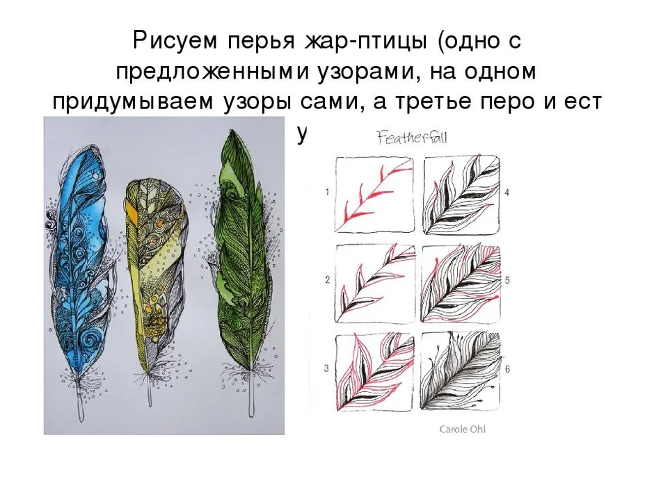 Перо жар птицы рисунок красками