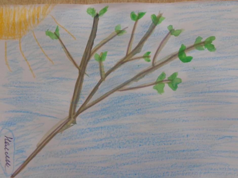Рисование весеннее дерево средняя группа. Рисование весенней веточки. Рисование с натуры весенней ветки. Рисование Весеннее дерево. Рисование деревья весной.
