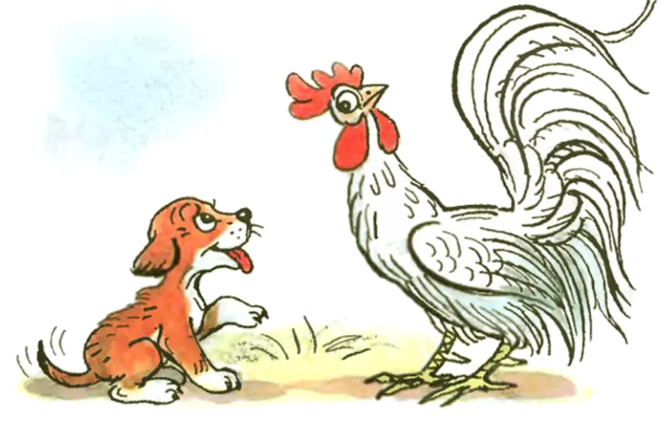 Иллюстрация к сказке петух и собака. Сутеев щенок. Сказка Сутеева кто сказал мяу. Сутеев в. "кто сказал мяу". Сутеев кто сказал мяу иллюстрации к сказке.