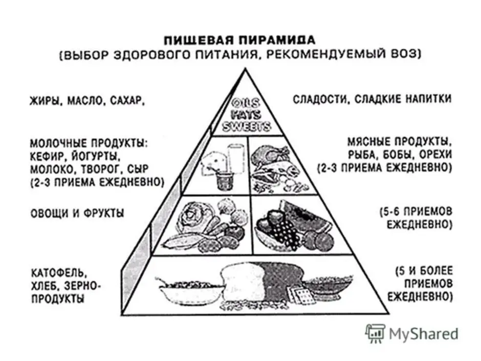 Таблица питания людей. Пирамида питания пищевая пирамида схема. Пирамида питания пищевая пирамида школьника. Схема пирамиды здорового питания. Пирамида таблица правильного питания.