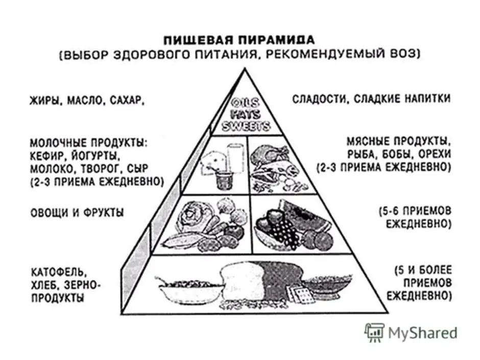 Пирамида здорового питания в картинках для детей