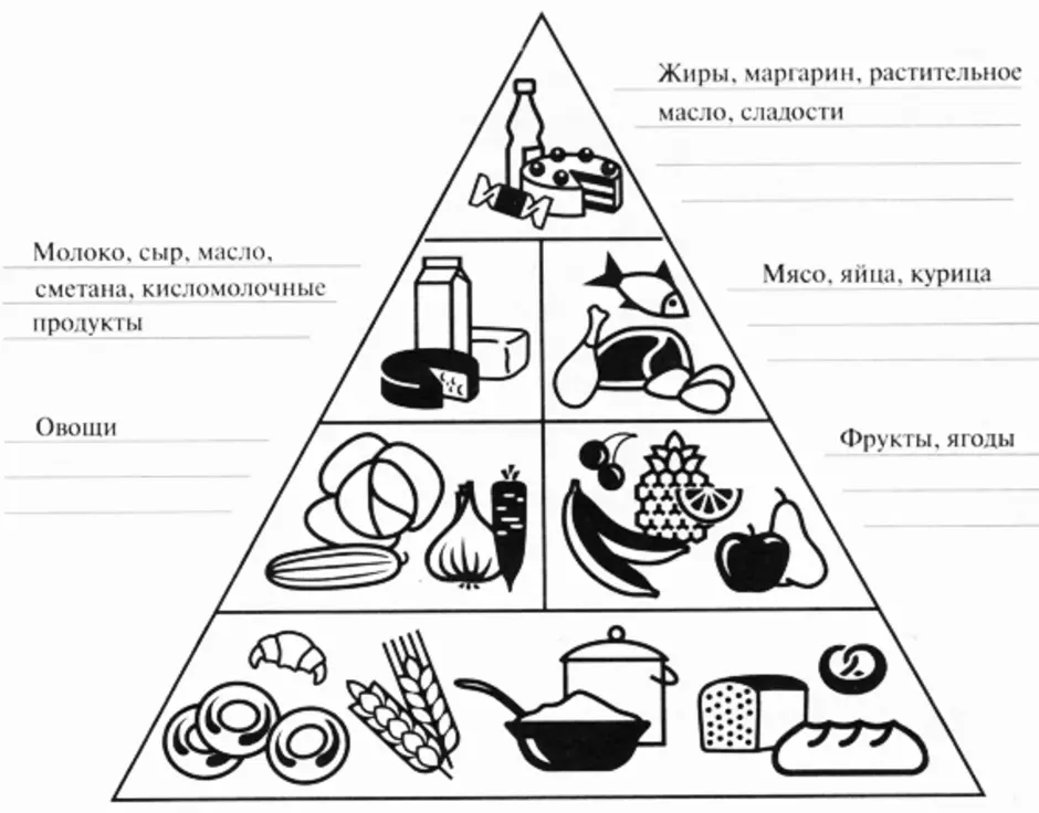 Нарисовать пирамиду питания