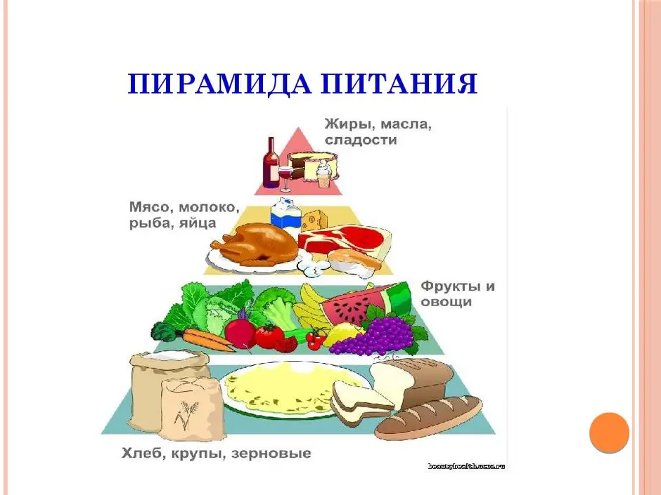 Пищевая пирамида 5 класс технология рисунок