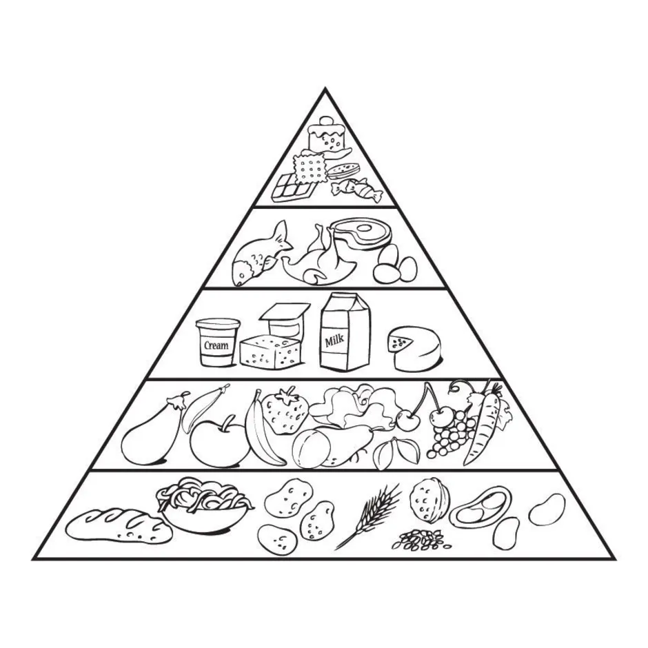 Пирамида питания рисунок