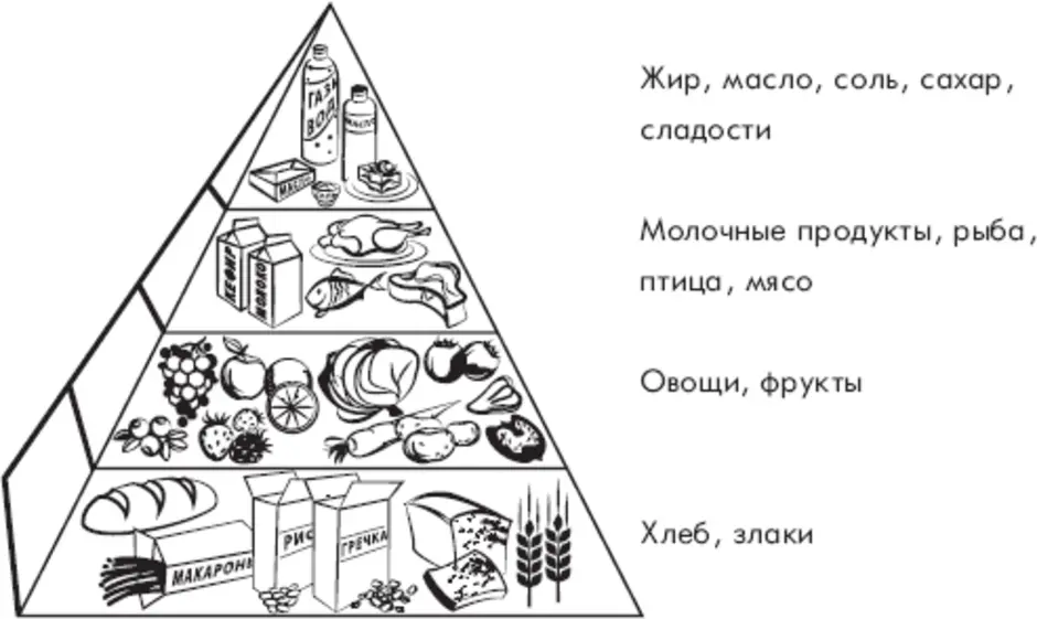 Пирамида питания рисунок