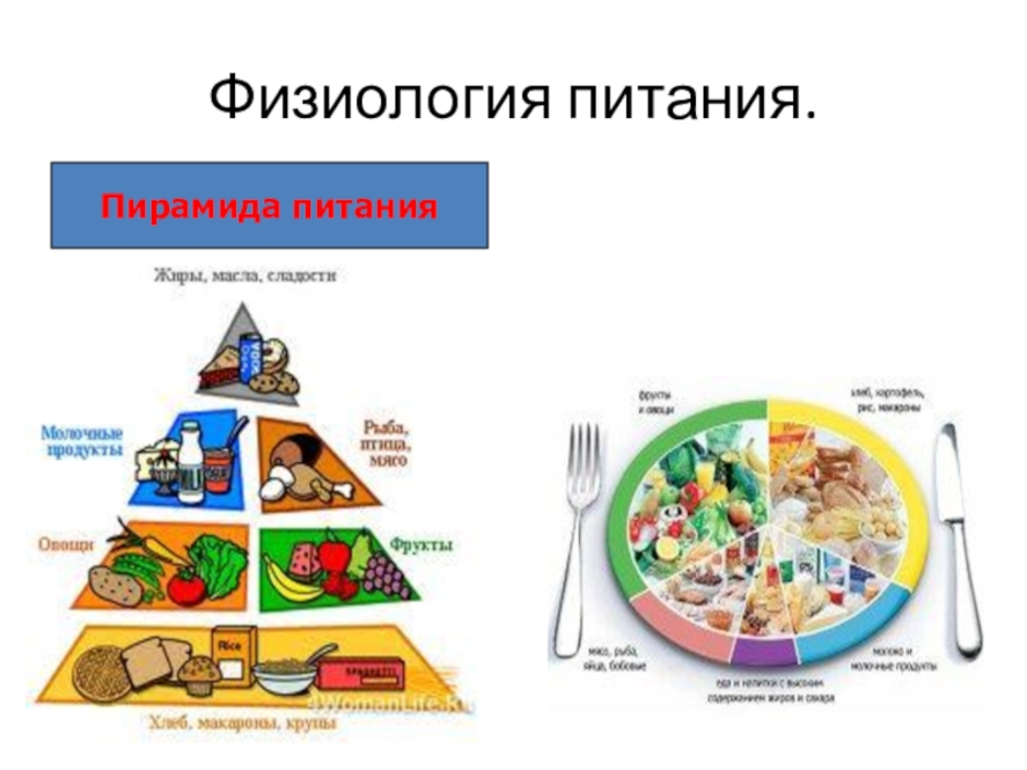 Проект здоровое питание 5 класс технология