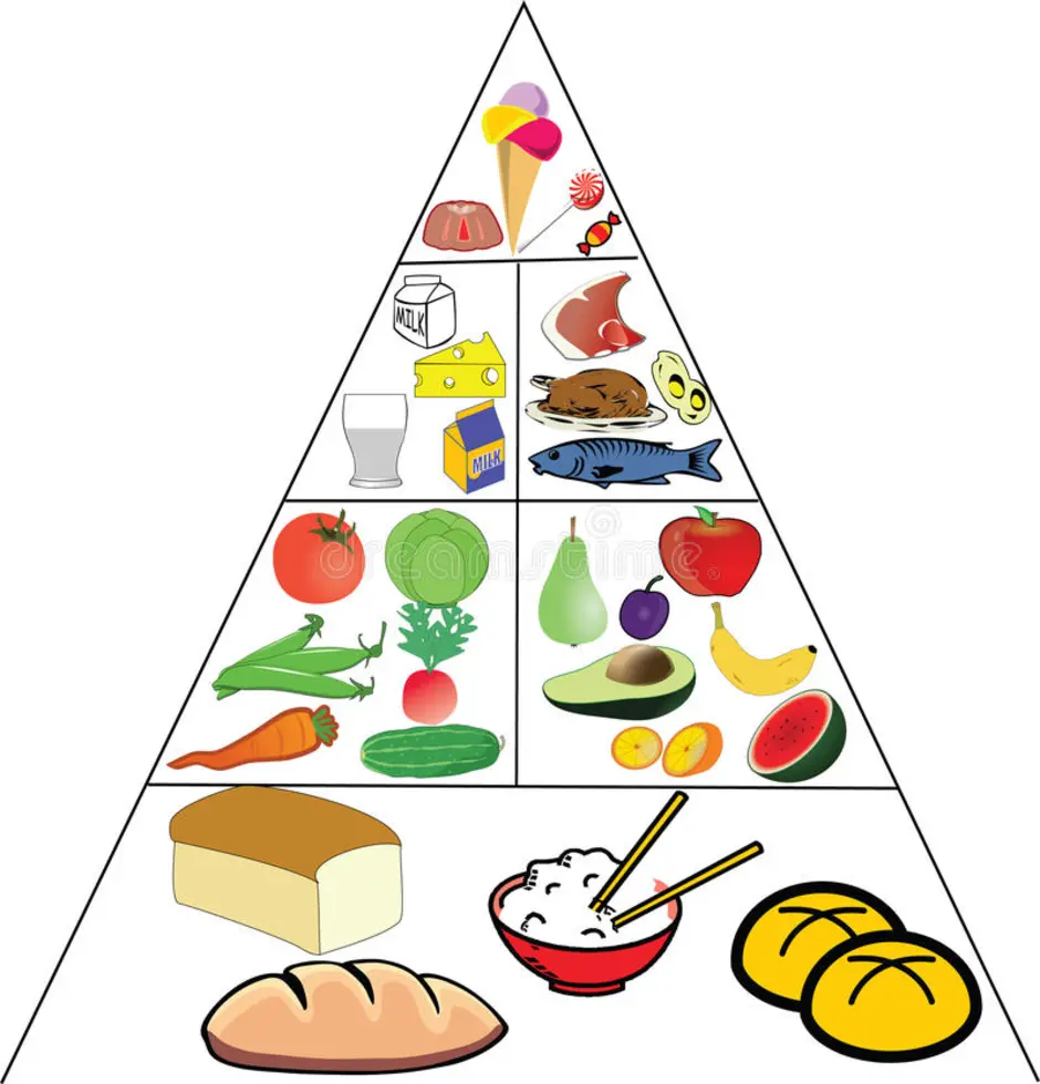 Пирамида питания рисунок