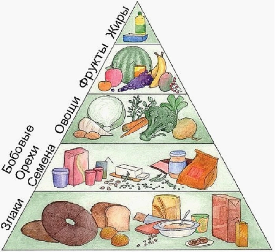 Пирамида здорового питания рисунок