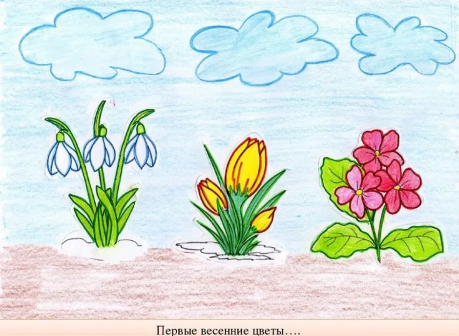 Окружающий мир 2 класс рисунок красота весны. Рисование весенних цветов. Рисование с детьми весенние цветы. Первоцветы рисунок. Первоцветы рисунок для детей.