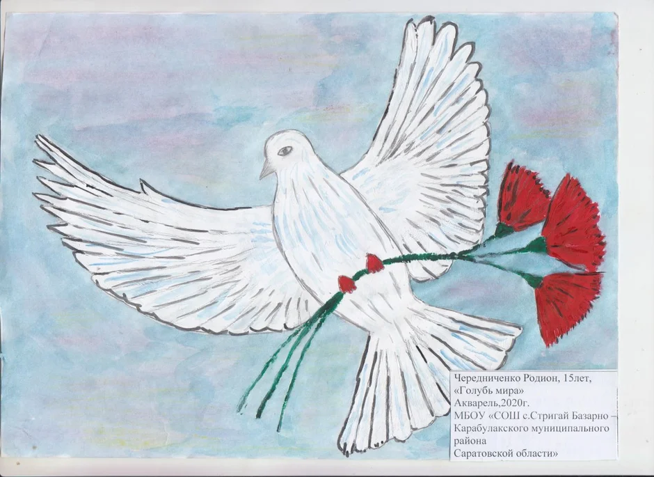 Рисунок на тему день победы голубь мира