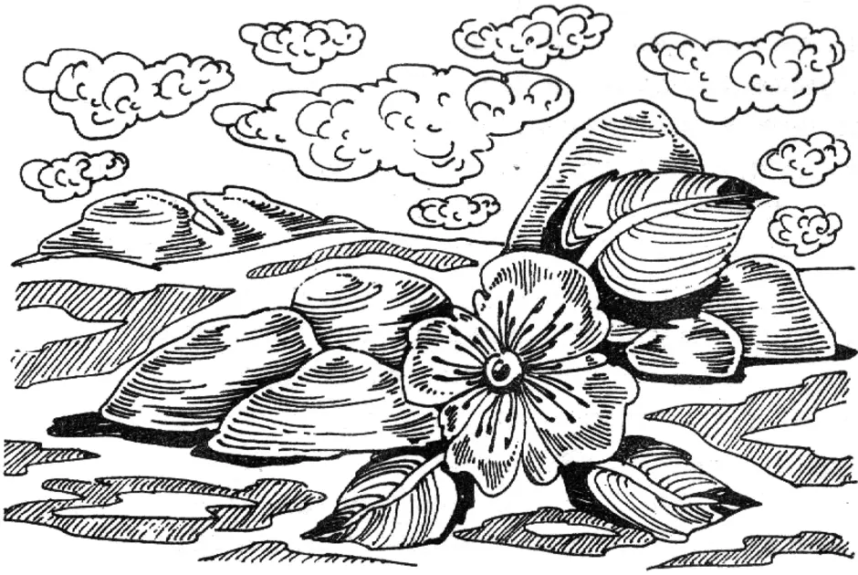 Тест неизвестный цветок 6. Платонов а. "неизвестный цветок". Неизвестный цветок Платонов иллюстрации. Нарисовать неизвестный цветок Платонов.