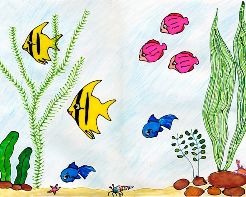 Рисунки для срисовки подводный мир (29 фото)