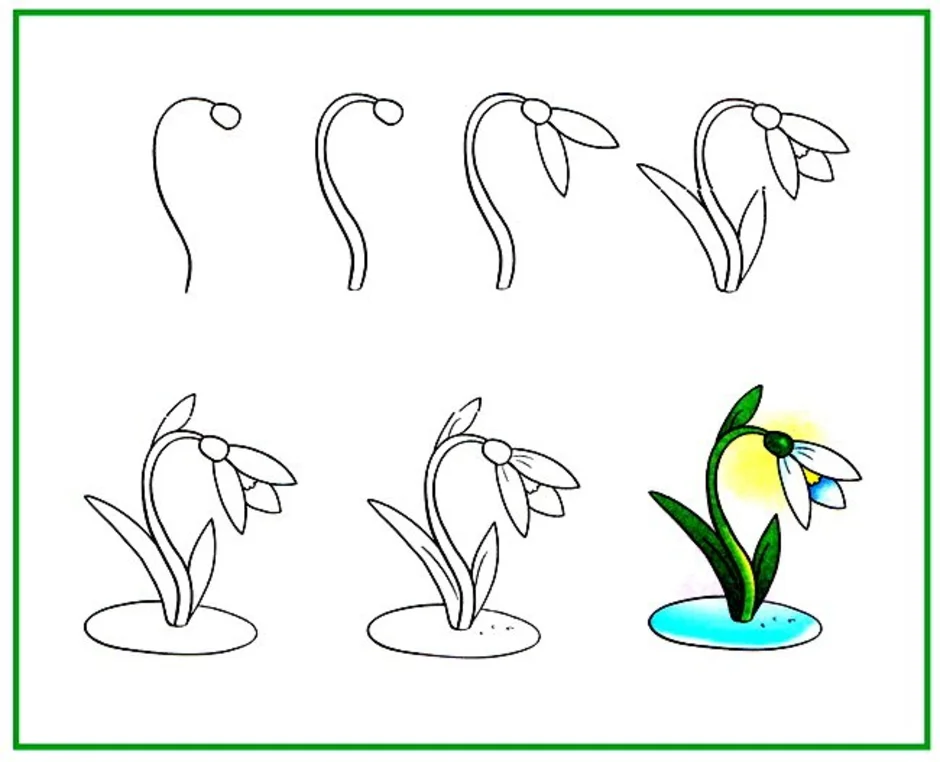 Этапы рисования цветка. Алгоритм рисования цветка. Рисование цветов для детей. Подснежники рисунок.
