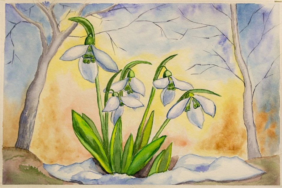 Рисование первые весенние цветы. Первоцветы подснежники акварель. Подснежники рисунок. Рисование с детьми подснежники.