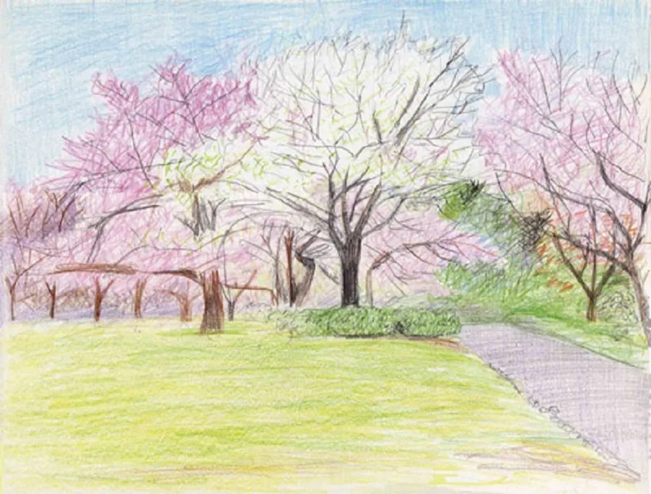 Май нарисовать карандашом. Рисование весеннего пейзажа. Весенний пейзаж цветными карандашами. Весенний пейзаж карандашом. Пейзаж цветными карандашами для детей.